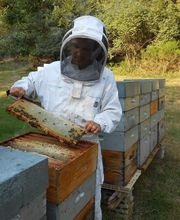 Le Rucher des Hautes Vosges image 10