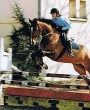 Ecole d'Equitation de Lamorlaye image 1