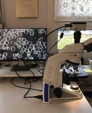 Herzpunkt Naturheilpraxis Bild 11