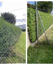 R.H Dienstleistungen.de Bild 1