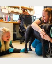 Dublin Veterinary Hospital image 12