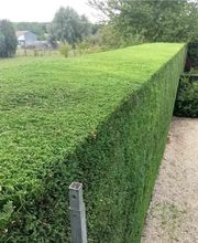 HashTEC Garten- u. Landschaftsbau Bild 8