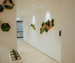 Mobinova - Gesundheitszentrum Bad Münder Bild 1