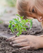 Verband Schweizer Plastic Recycler (VSPR) Bild 1