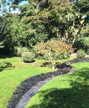 Green Paysages image 1