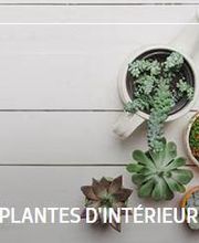 Jardiland La Rosée image 8