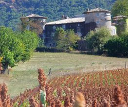 Château de Mauras image 1