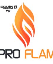 Pro Flam image 1