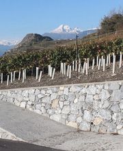 Jean Christian Bild 7