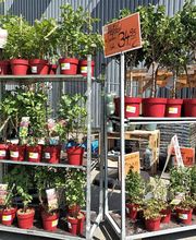 HORNBACH Ingolstadt Bild 18