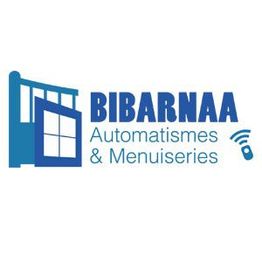 Pierre Bibarnaa Automatism