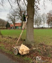 Biohof Beckerwerth Bild 2