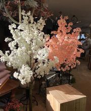 Dekoplus Elgg Bild 1