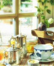 LE CLAIR DE LA PLUME image 8