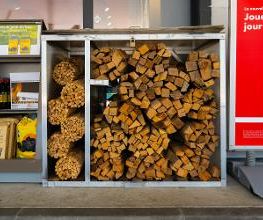Shell Bild 6
