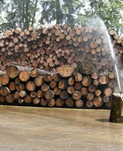 Sägerei B.Hauswirth GmbH Gstaad