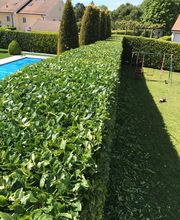 Parvex Paysagiste Sàrl Bild 7