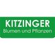 Kitzinger Blumen und Pflanzen