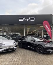 BYD | Senger Bild 1