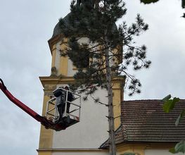 Gartenservice Kurz Bild 4