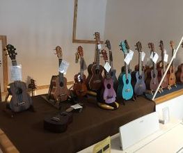 Musik Kolbeck Bild 2