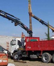 Fantastic Gardens imagen 15