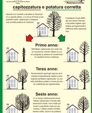 IdealFlora di Davide Gagliardini Bild 6