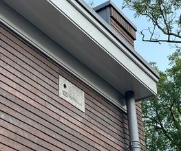 neststeen