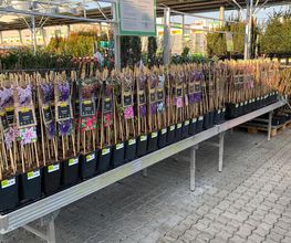 HORNBACH Bamberg Bild 5