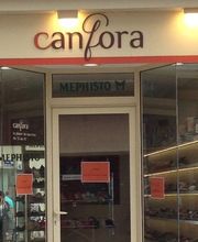 CHAUSSURE CANFORA image 1