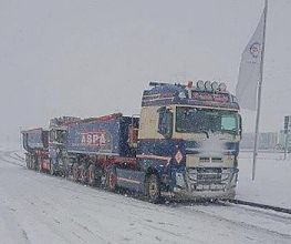 Frank Wulf GmbH Transporte - Hamburg Bild 3