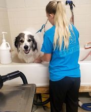 Veterinary Medical Center image 4