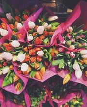 AUX PRAIRIES FLEURIES image 4