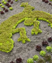 Ristorante & Pizzeria da Rasso, Saas-Fee Bild 3