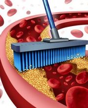 Institut für Ganzheitsmedizin Andreas Burgdorf Heilpraktiker Bild 2