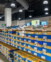 Rack Room Shoes image 19