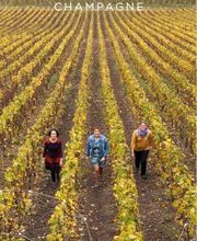 Champagne Baron Albert image 12