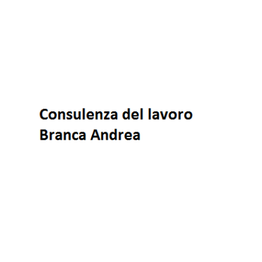 Branca Andrea Consulenza del Lavoro logo