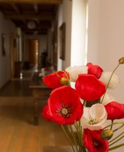 CENTRO DE RETIROS DE YOGA PIRINEO imagen 7