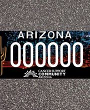 EZ Title & Registration (North Scottsdale) image 11