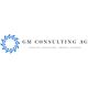 GM Consulting AG