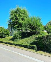 Zbinden Paysage Bild 5