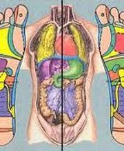 Roche Pavone Reflexologie image 1