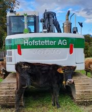 Bauunternehmung Hofstetter AG | Hochbau, Tiefbau, Gartenbau Bild 2