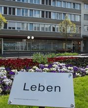 Wohnpflegeheime Schwamendingen - WOHNSCH - Häuptli, Kull und Schörli Bild 2