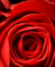 Praxis für Komplementärmedizin Bild 2