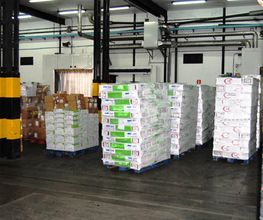 cofricansa-distribucion-productos-05.jpg