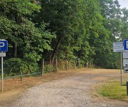 Pension Stechlinsee Bild 8