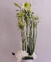 Maison NECTOUX Fleurs et nature image 13