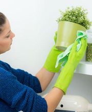 Reinigung - Service Cornelia Infanger Bild 2